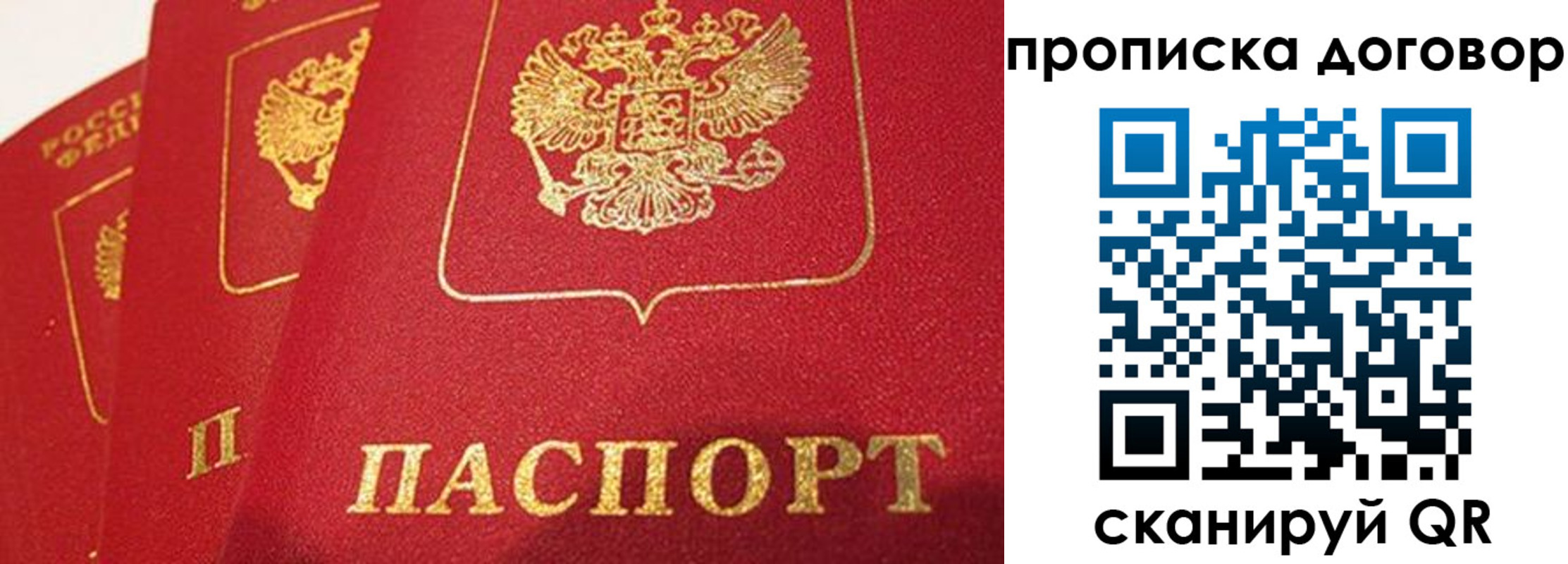 найти адрес прописки в Сураже